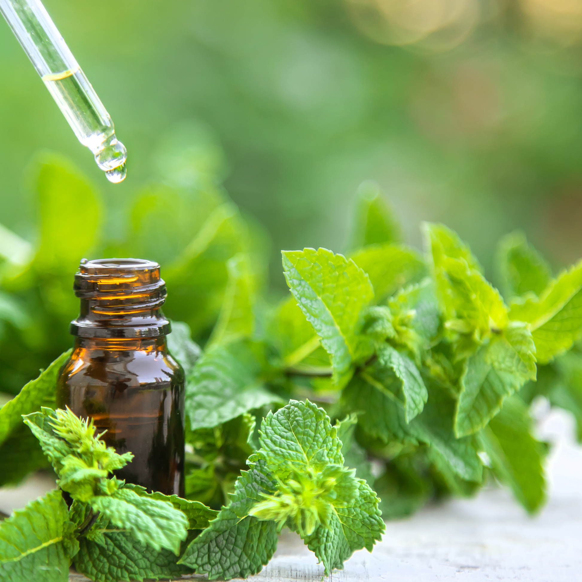 Peppermint Essential Oil – Headache & Energy Boost