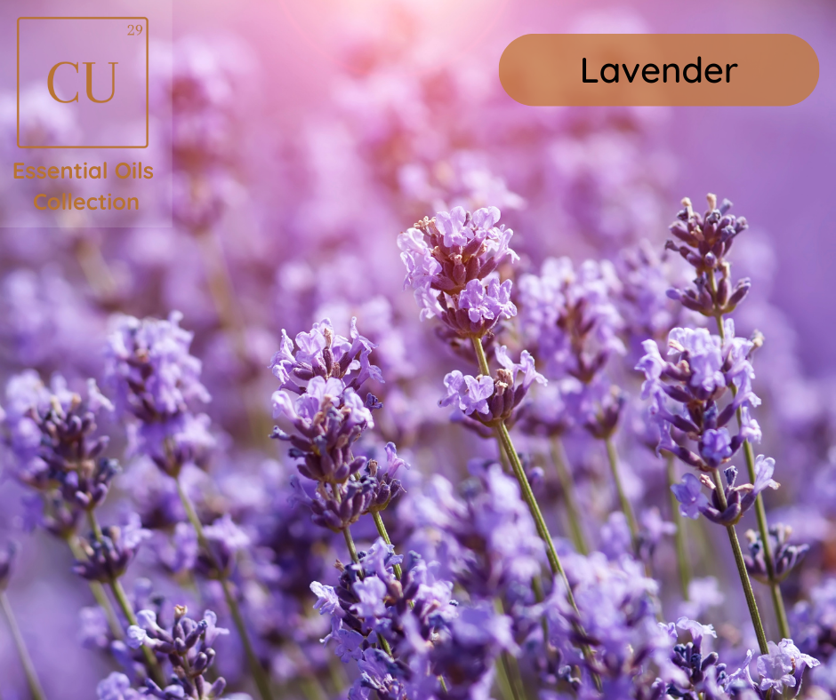 CU29™ Essential Oil - Lavender