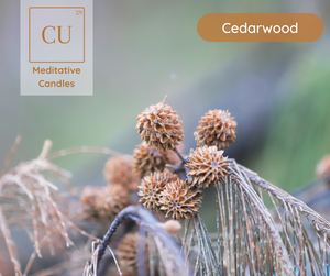 CU29™ Cedarwood Core Meditative Candles