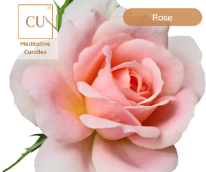 CU29™ Rose Reverie Meditative Candles