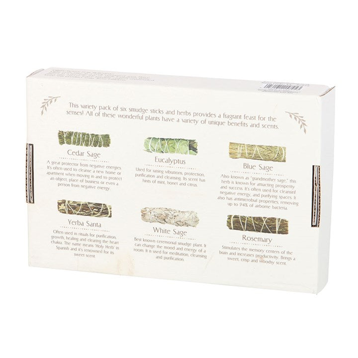 Sage Smudge Stick Variety Set – 6-Pack Cleansing Bundle