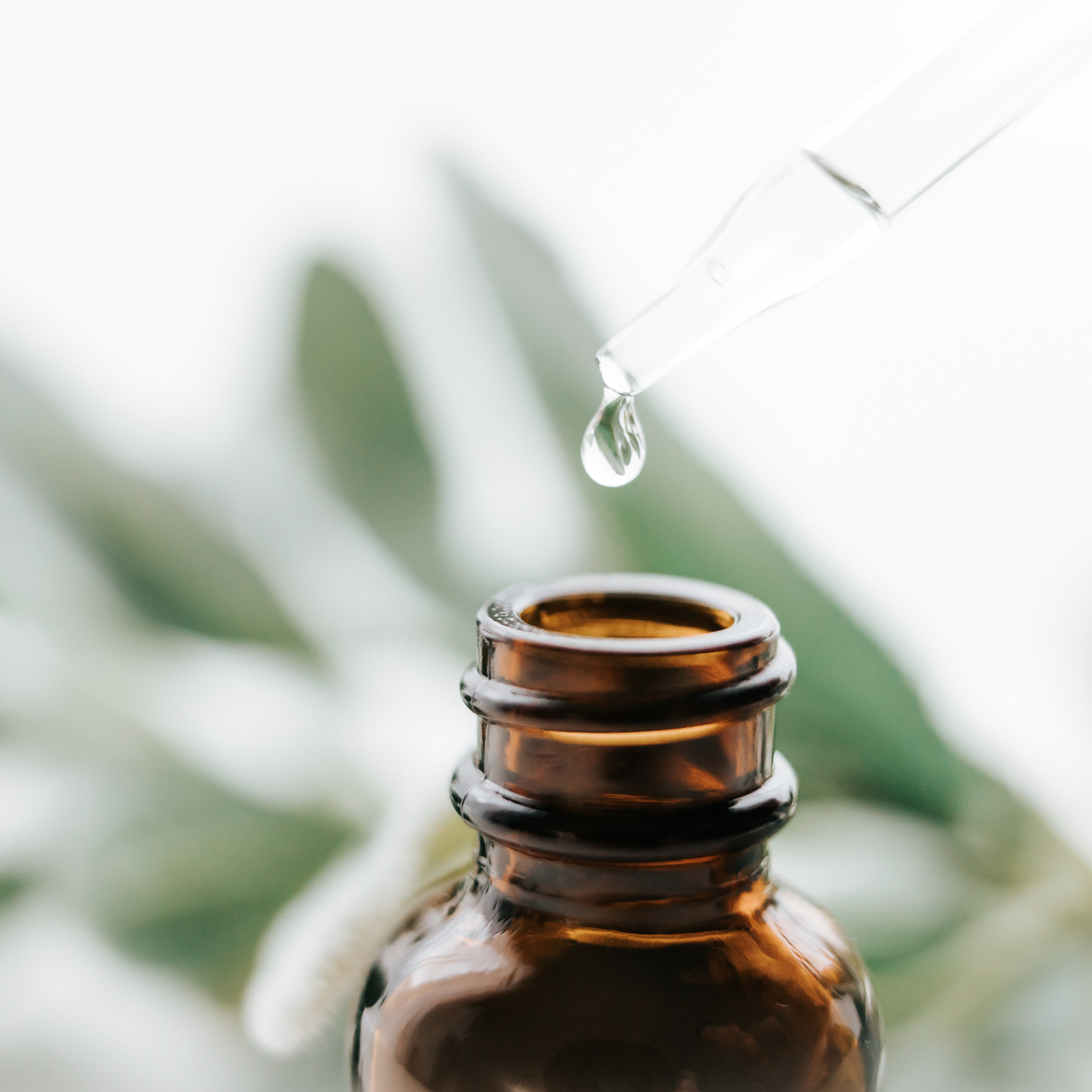 Lavender Essential Oil – Relaxation & Sleep